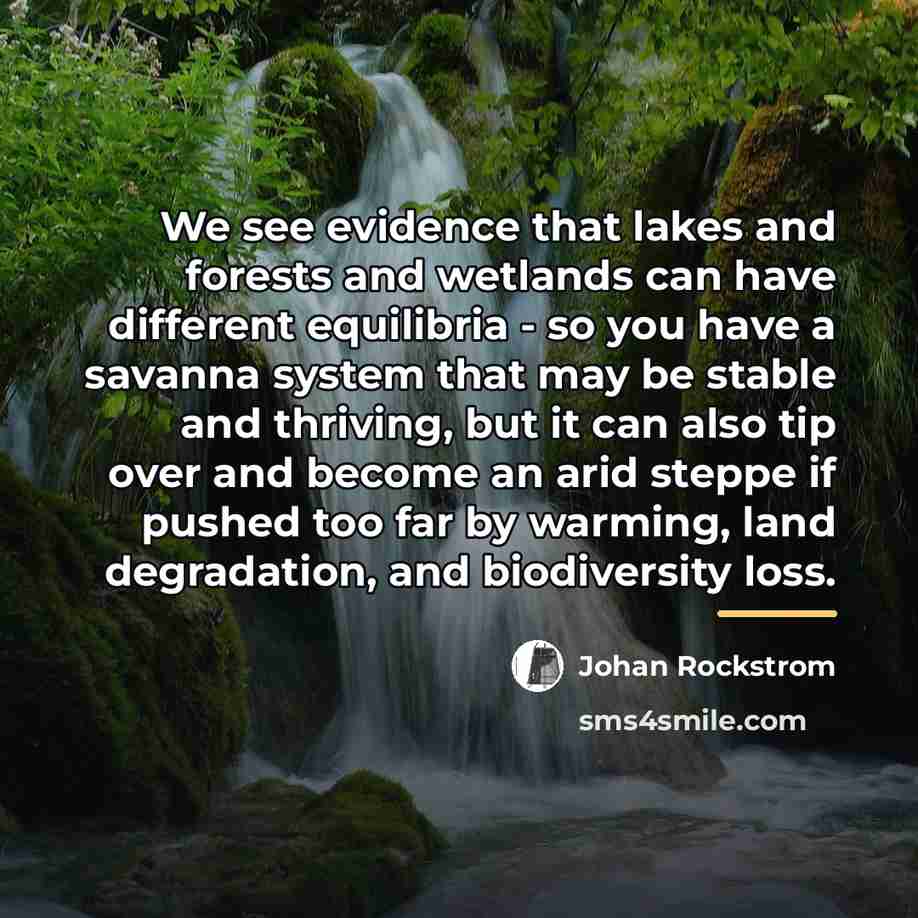 “We see evidence that lakes and forests and wetlands can…” quote by Johan Rockstrom