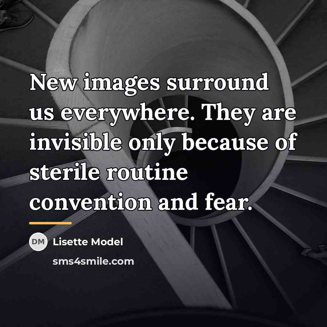 “New images surround us everywhere. They are invisible only because…” quote by Lisette Model