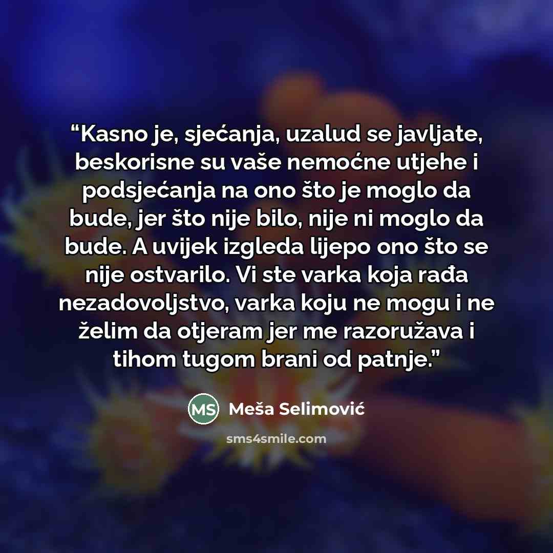 “Kasno je, sjećanja, uzalud se javljate, beskorisne su vaše nemoćne utjehe i podsjećanja na ono što je moglo da bude, jer što nije bilo, nije ni moglo da bude. A uvijek izgleda lijepo ono što se nije ostvarilo. Vi ste varka koja rađa nezadovoljstvo, varka koju ne mogu i ne želim da otjeram jer me…” quote by Meša Selimović