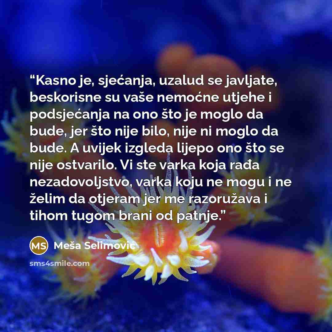 “Kasno je, sjećanja, uzalud se javljate, beskorisne su vaše nemoćne utjehe i podsjećanja na ono što je moglo da bude, jer što nije bilo, nije ni moglo da bude. A uvijek izgleda lijepo ono što se nije ostvarilo. Vi ste varka koja rađa nezadovoljstvo, varka koju ne mogu i ne želim da otjeram jer me…” quote by Meša Selimović