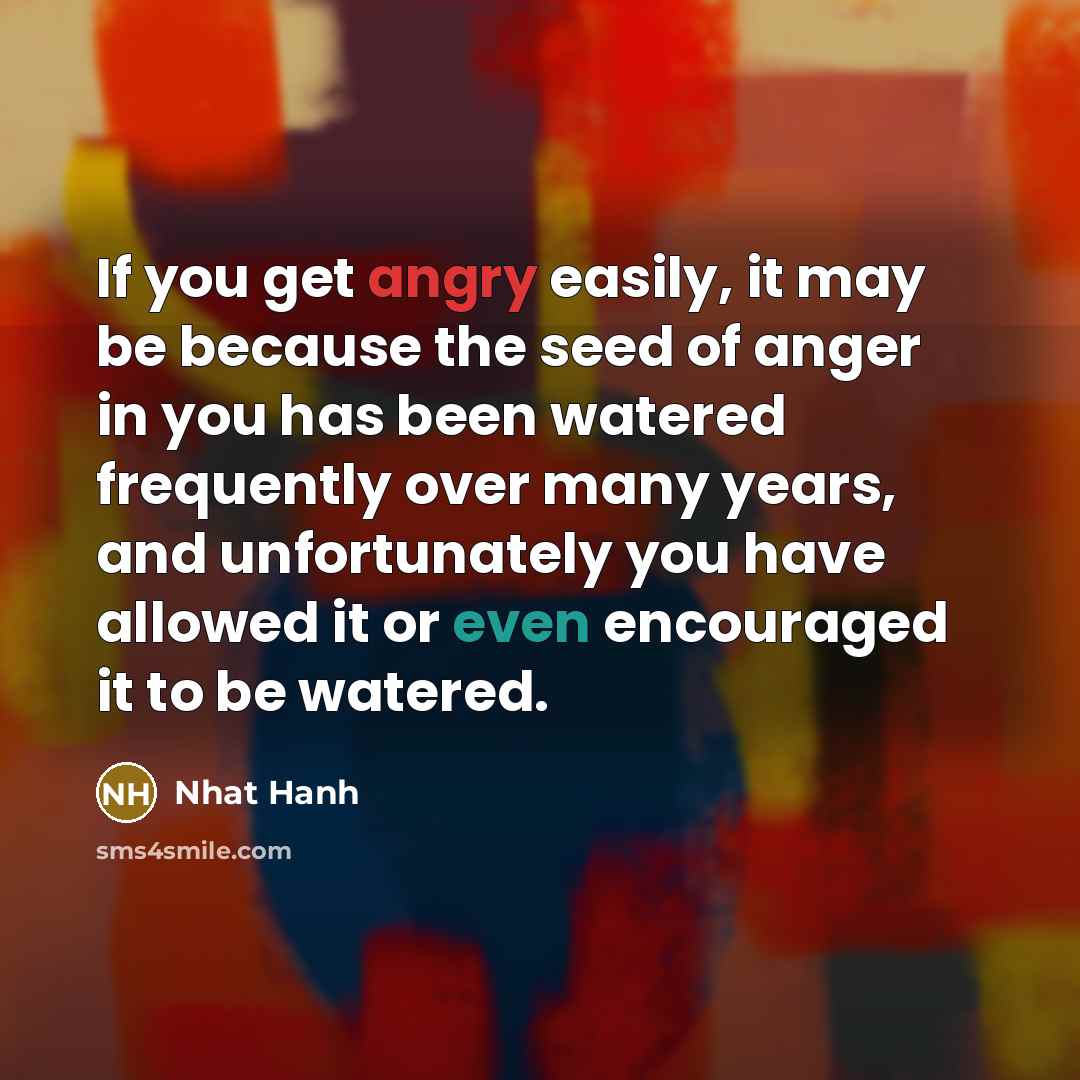 “If you get angry easily, it may be because the…” quote by Nhat Hanh