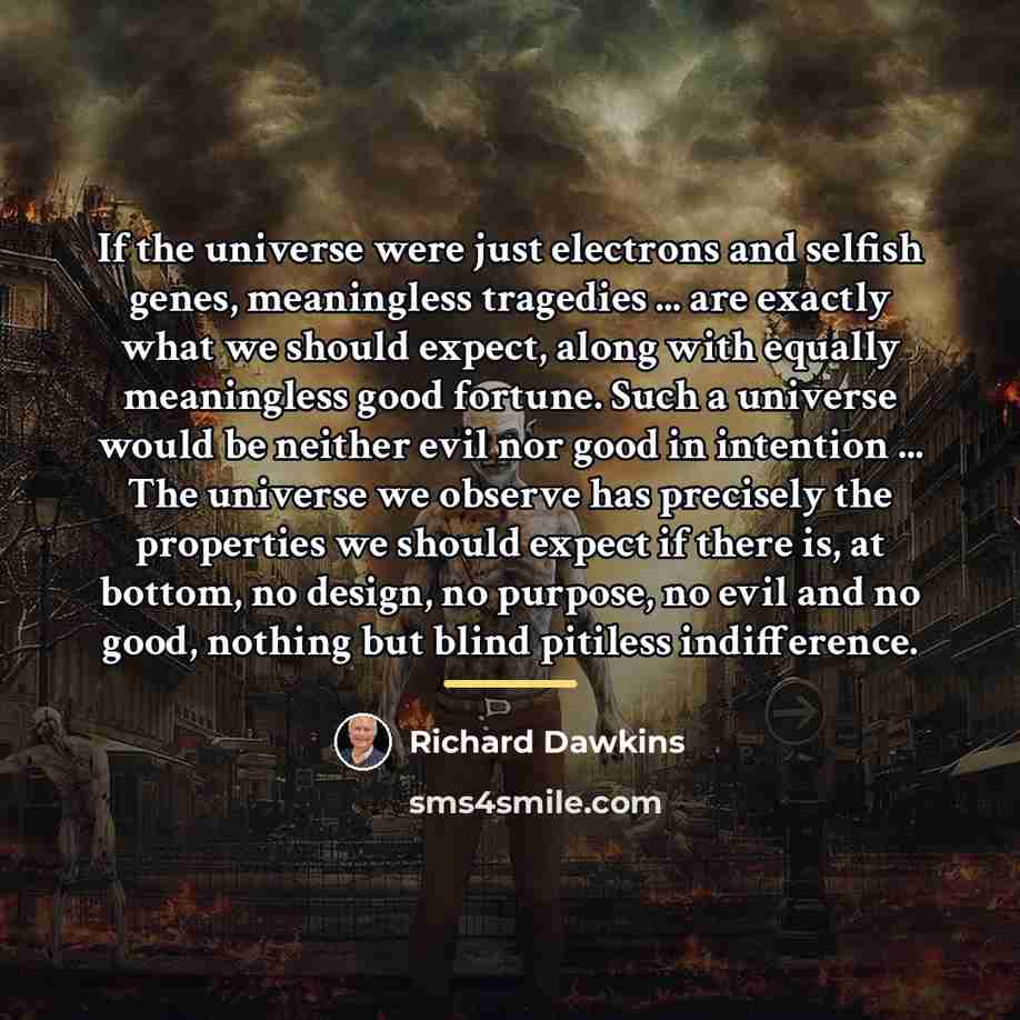 “If the universe were just electrons and selfish genes, meaningless…” quote by Richard Dawkins