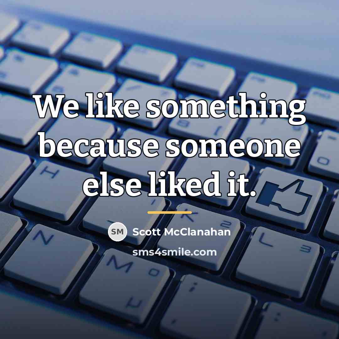 “We like something because someone else liked it.…” quote by Scott McClanahan