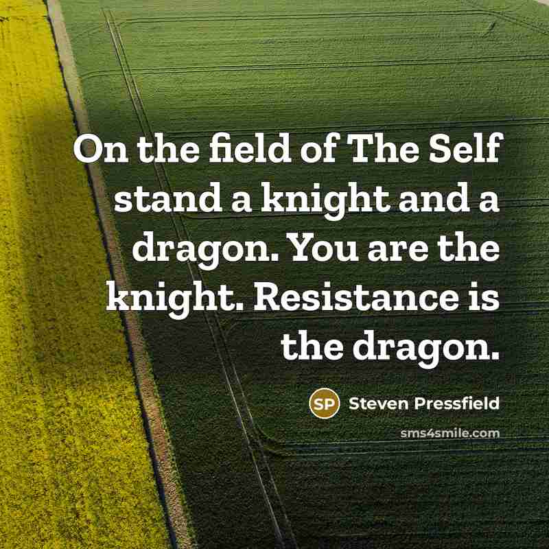 “On the field of The Self stand a knight and…” quote by Steven Pressfield