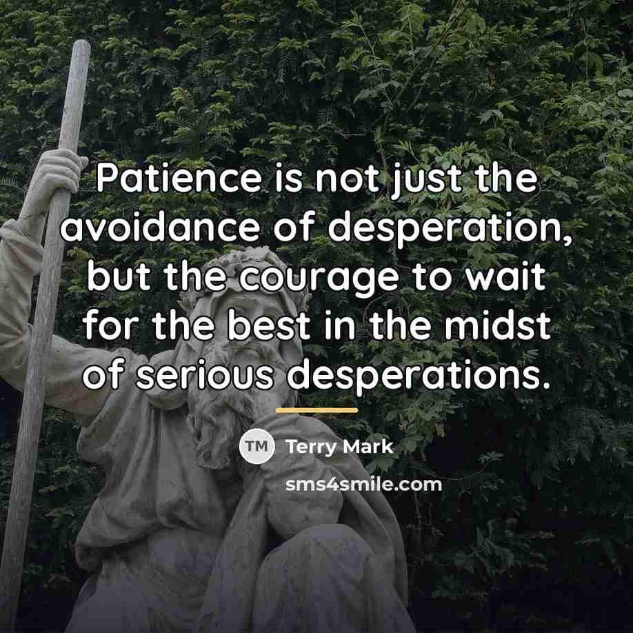 “Patience is not just the avoidance of desperation, but the…” quote by Terry Mark
