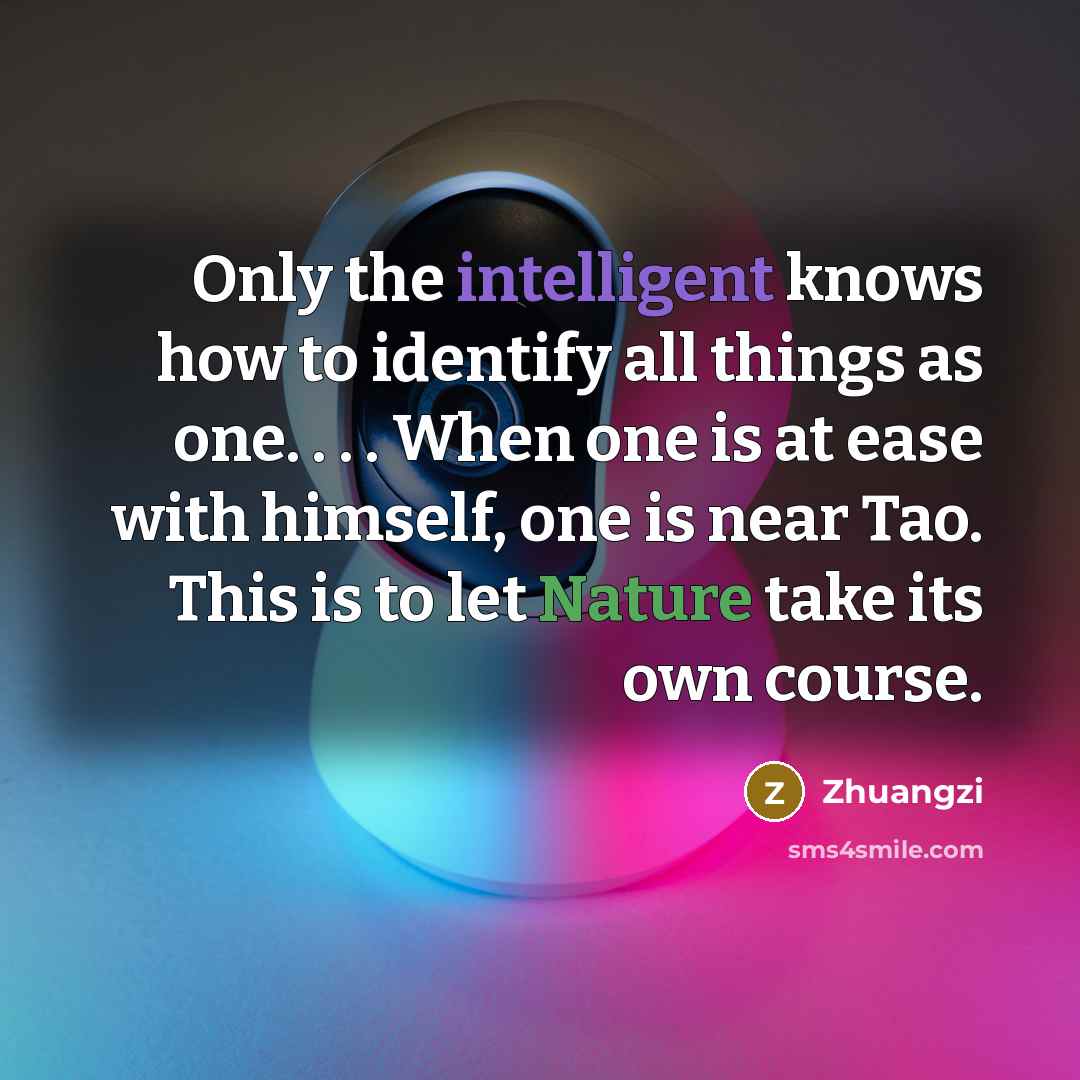 “Only the intelligent knows how to identify all things as…” quote by Zhuangzi