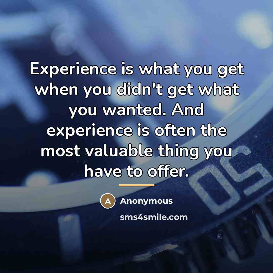 “Experience is what you get when you didn't get what…” quote by Anonymous