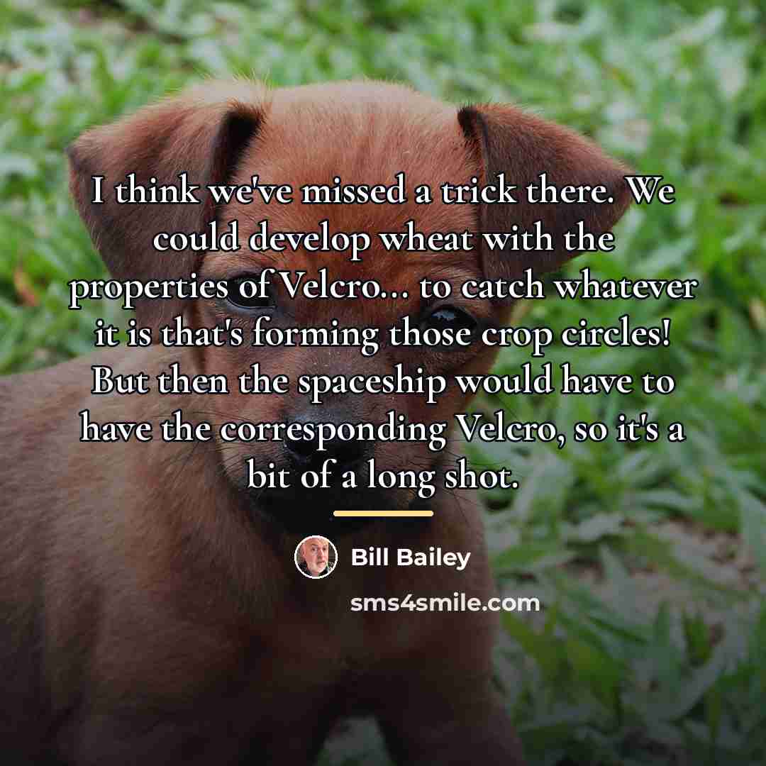“I think we've missed a trick there. We could develop…” quote by Bill Bailey