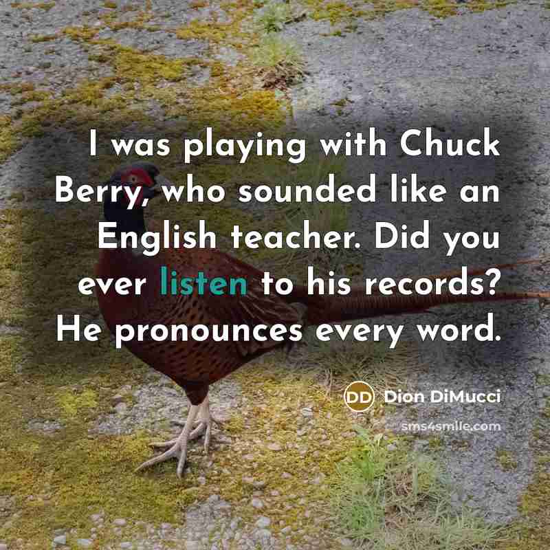 “I was playing with Chuck Berry, who sounded like an English teacher. Did you ever listen to his records? He pronounces every word.” quote by Dion DiMucci