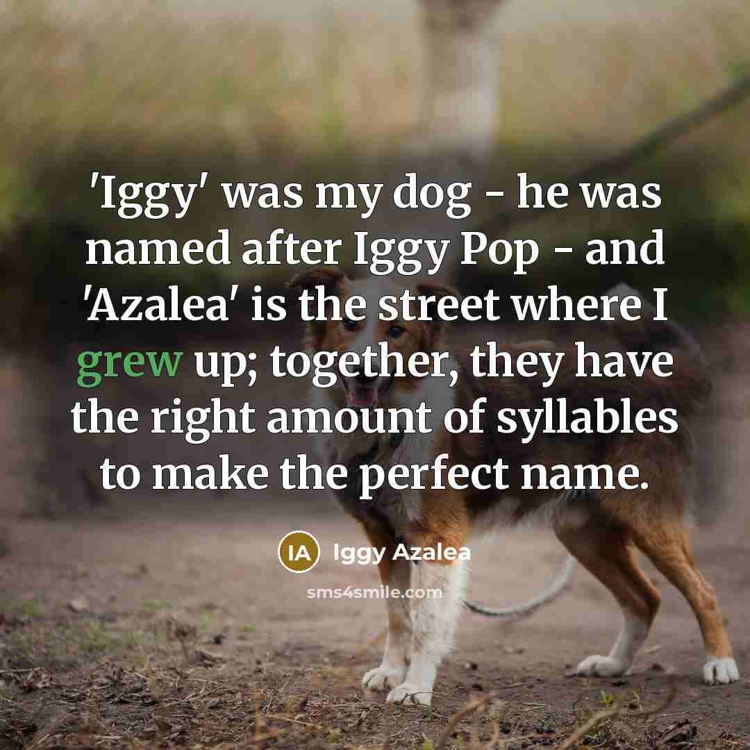 “'Iggy' was my dog - he was named after Iggy…” quote by Iggy Azalea