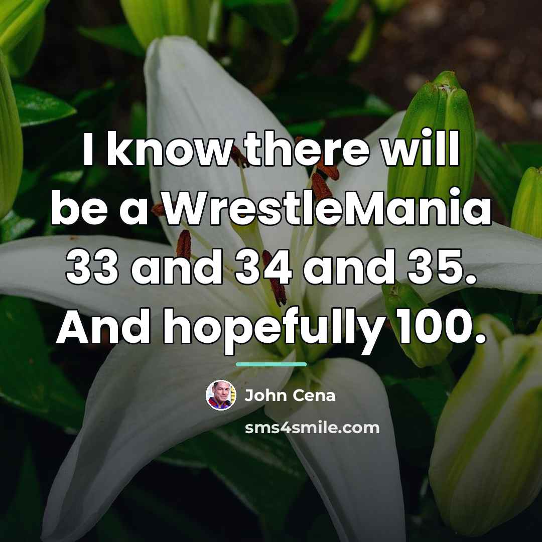“I know there will be a WrestleMania 33 and 34…” quote by John Cena