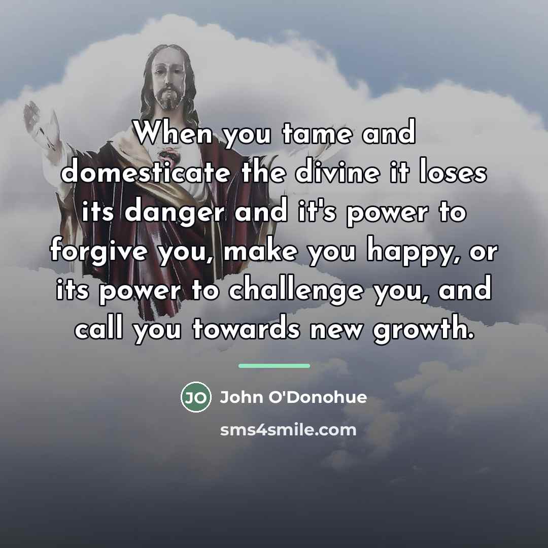 “When you tame and domesticate the divine it loses its…” quote by John O'Donohue