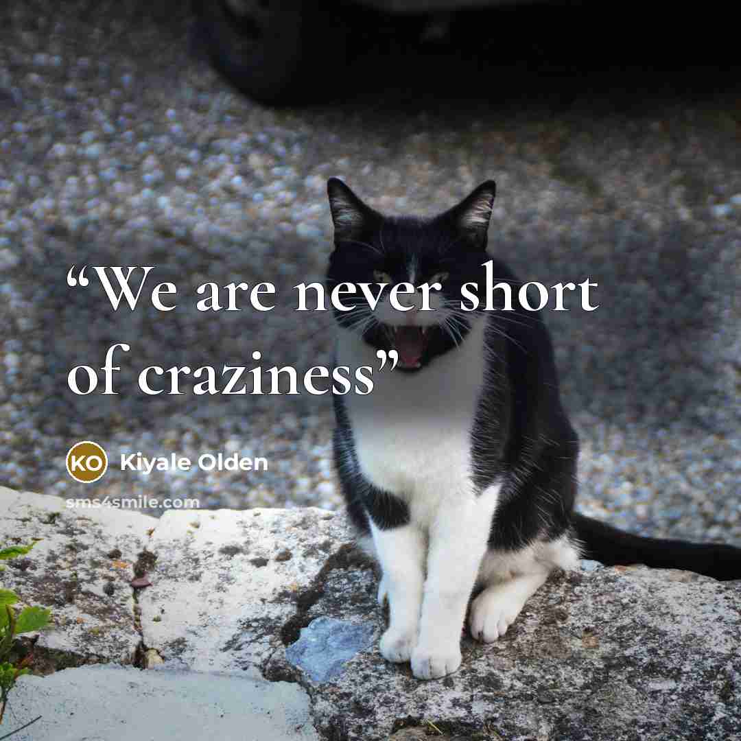“We are never short of craziness” quote by Kiyale Olden