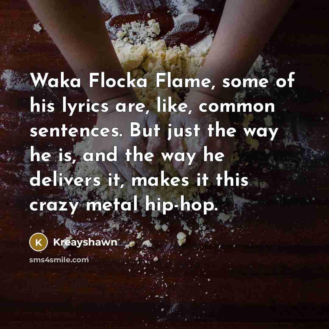 “Waka Flocka Flame, some of his lyrics are, like, common…” quote by Kreayshawn