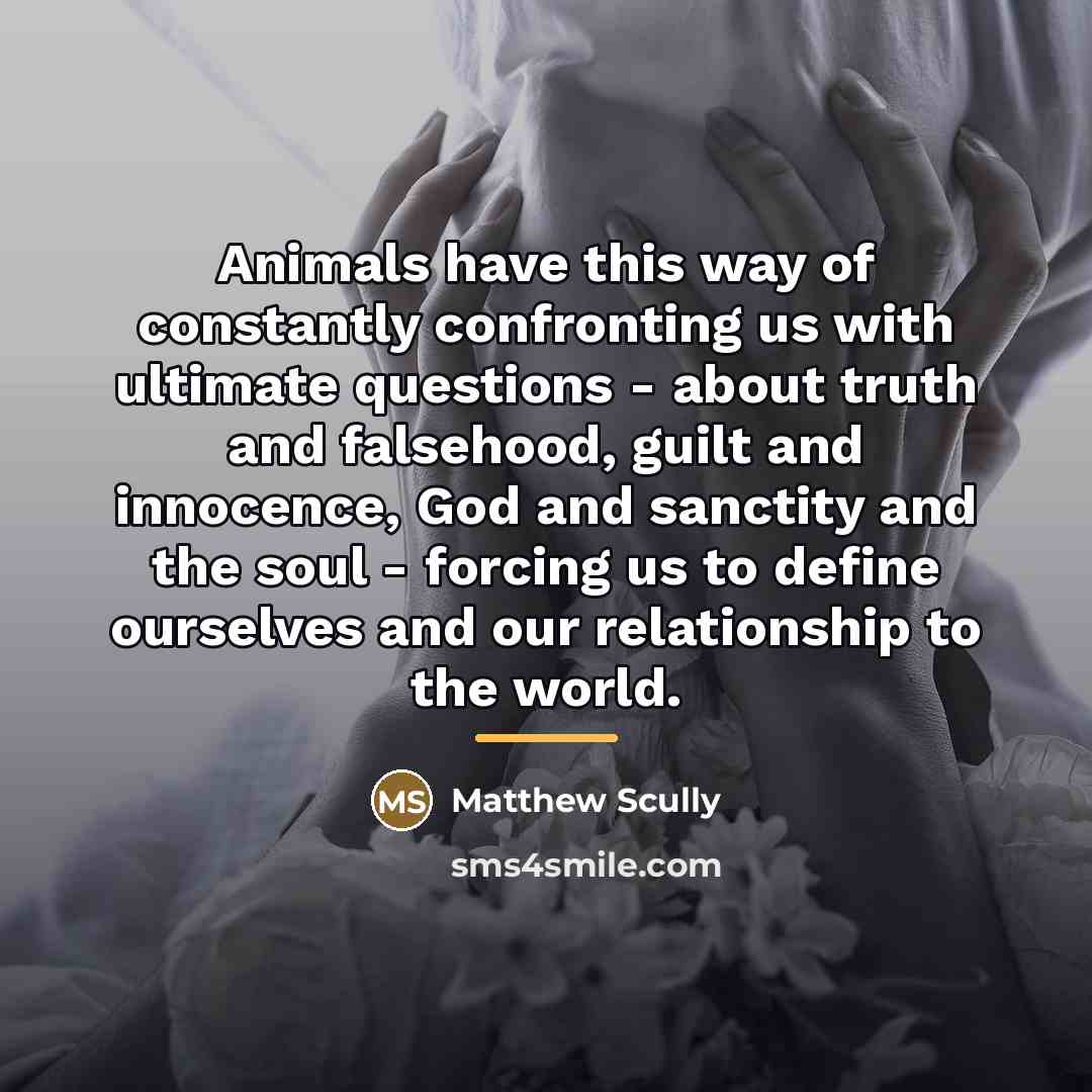 “Animals have this way of constantly confronting us with ultimate…” quote by Matthew Scully