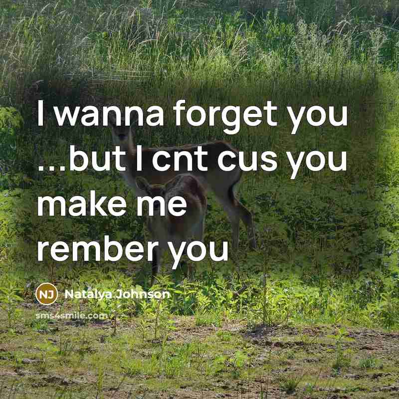 “I wanna forget you ...but I cnt cus you make…” quote by Natalya Johnson