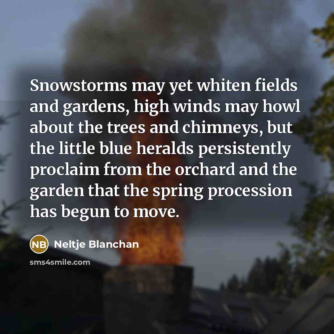 “Snowstorms may yet whiten fields and gardens, high winds may…” quote by Neltje Blanchan