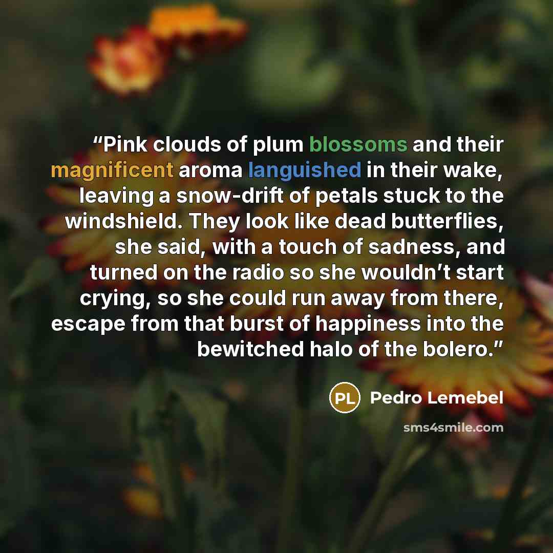 “Pink clouds of plum blossoms and their magnificent aroma languished in their wake, leaving a snow-drift of petals stuck to the windshield. They look like dead butterflies, she said, with a touch of sadness, and turned on the radio so she wouldn’t start crying, so she could run away from there…” quote by Pedro Lemebel