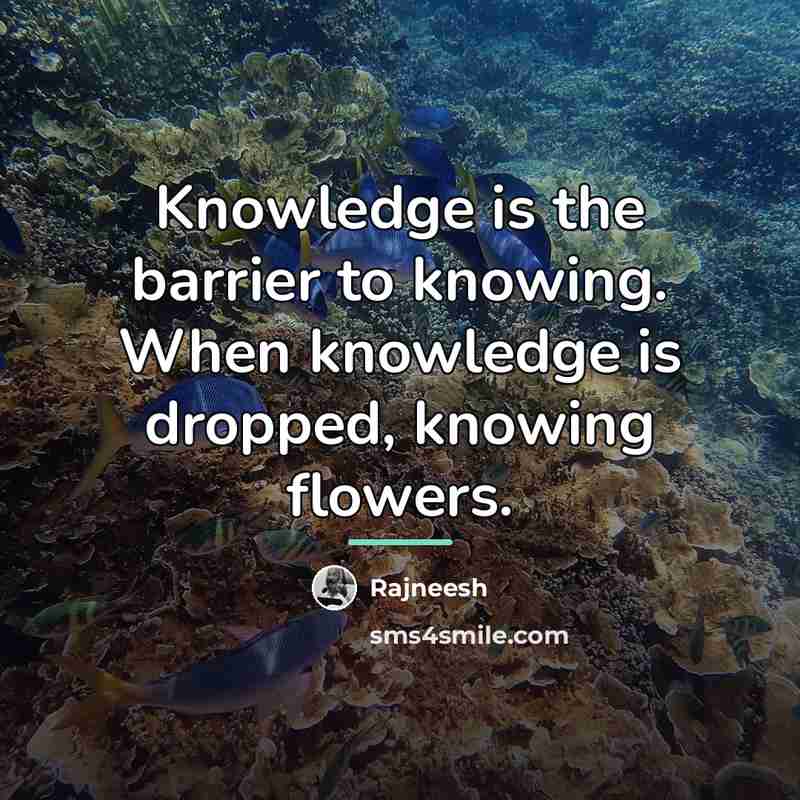 “Knowledge is the barrier to knowing. When knowledge is dropped,…” quote by Rajneesh
