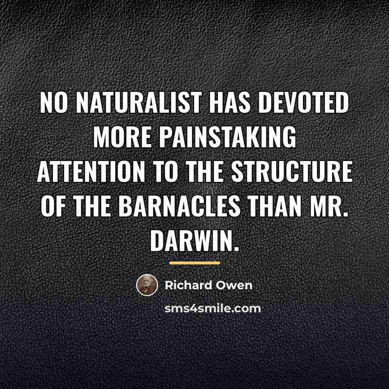 “No naturalist has devoted more painstaking attention to the structure…” quote by Richard Owen