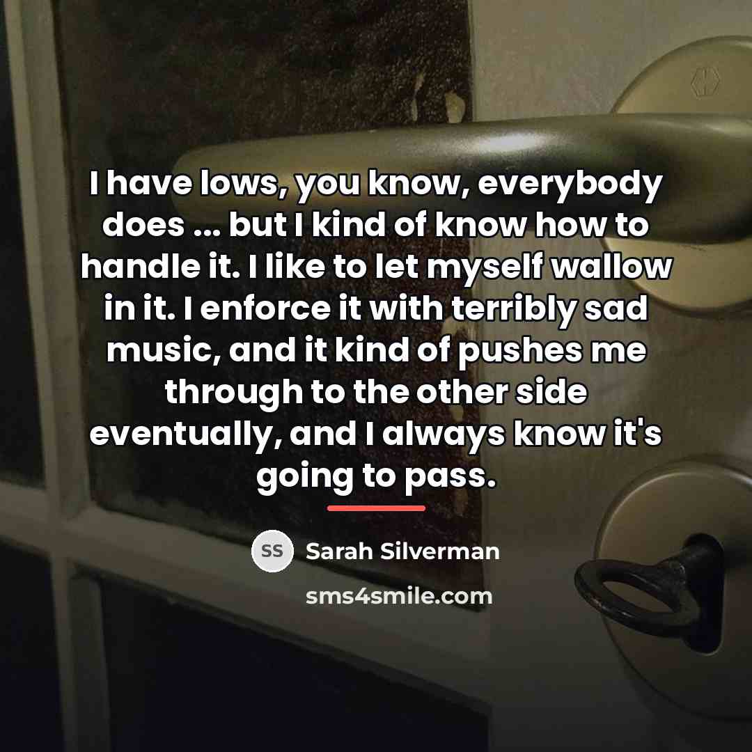 “I have lows, you know, everybody does ... but I…” quote by Sarah Silverman
