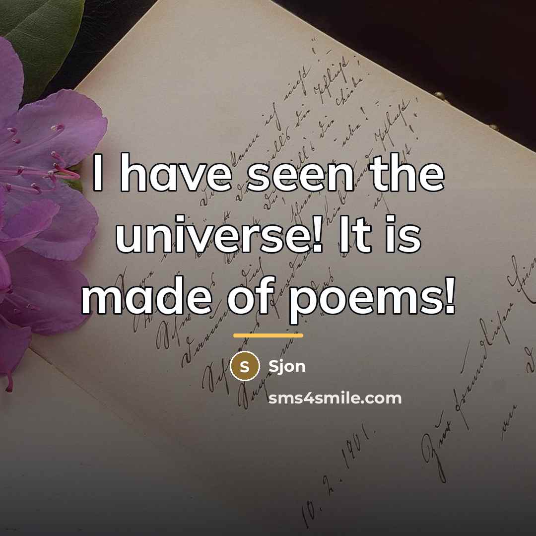 “I have seen the universe! It is made of poems!…” quote by Sjon