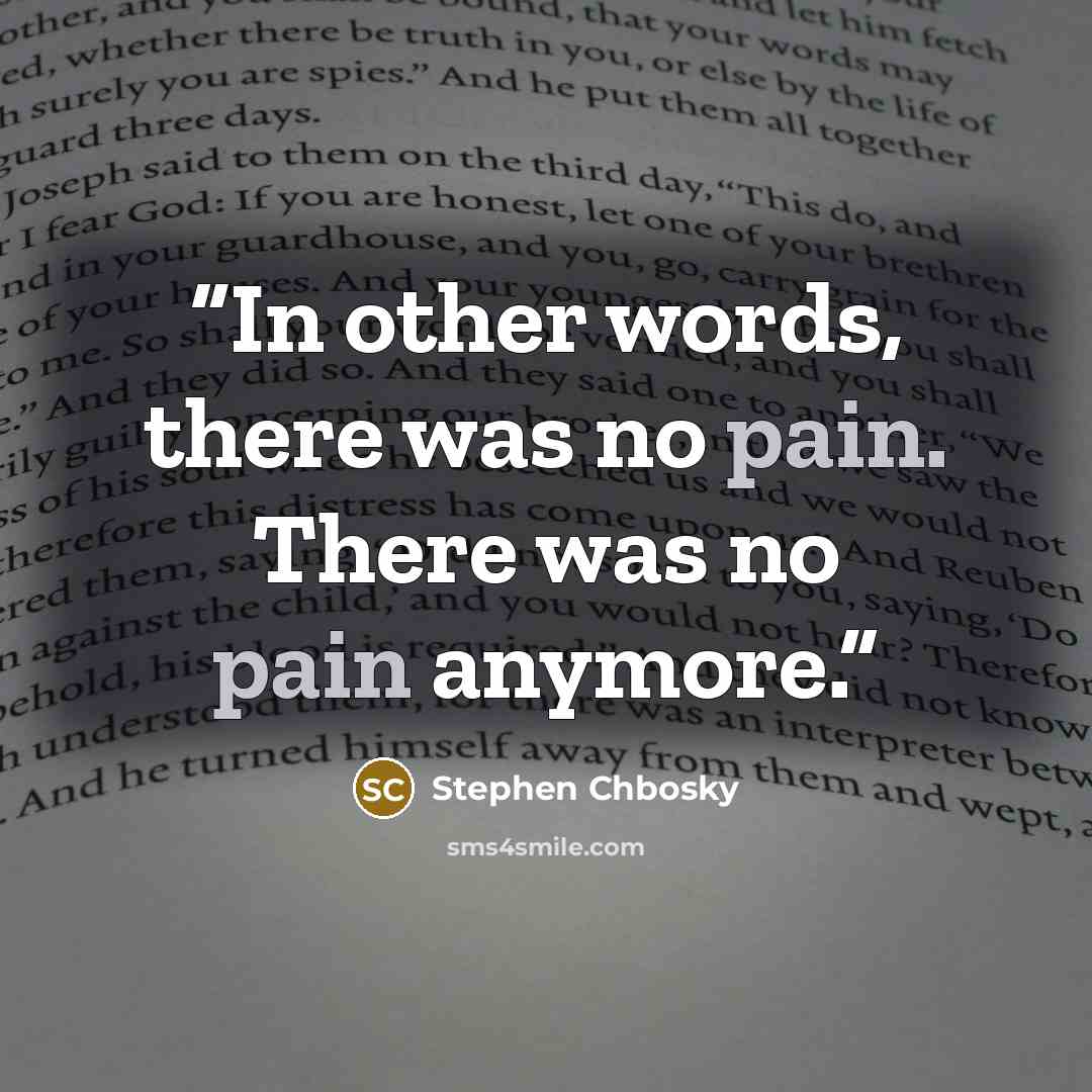 “In other words, there was no pain. There was no pain anymore.” quote by Stephen Chbosky