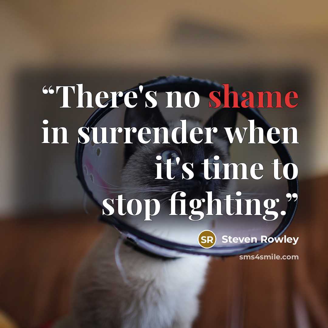 “There's no shame in surrender when it's time to stop fighting.” quote by Steven Rowley