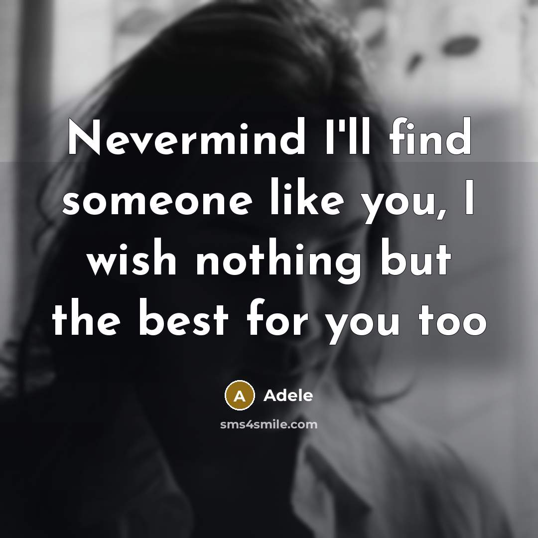 “Nevermind I'll find someone like you, I wish nothing but the best for you too” quote by Adele