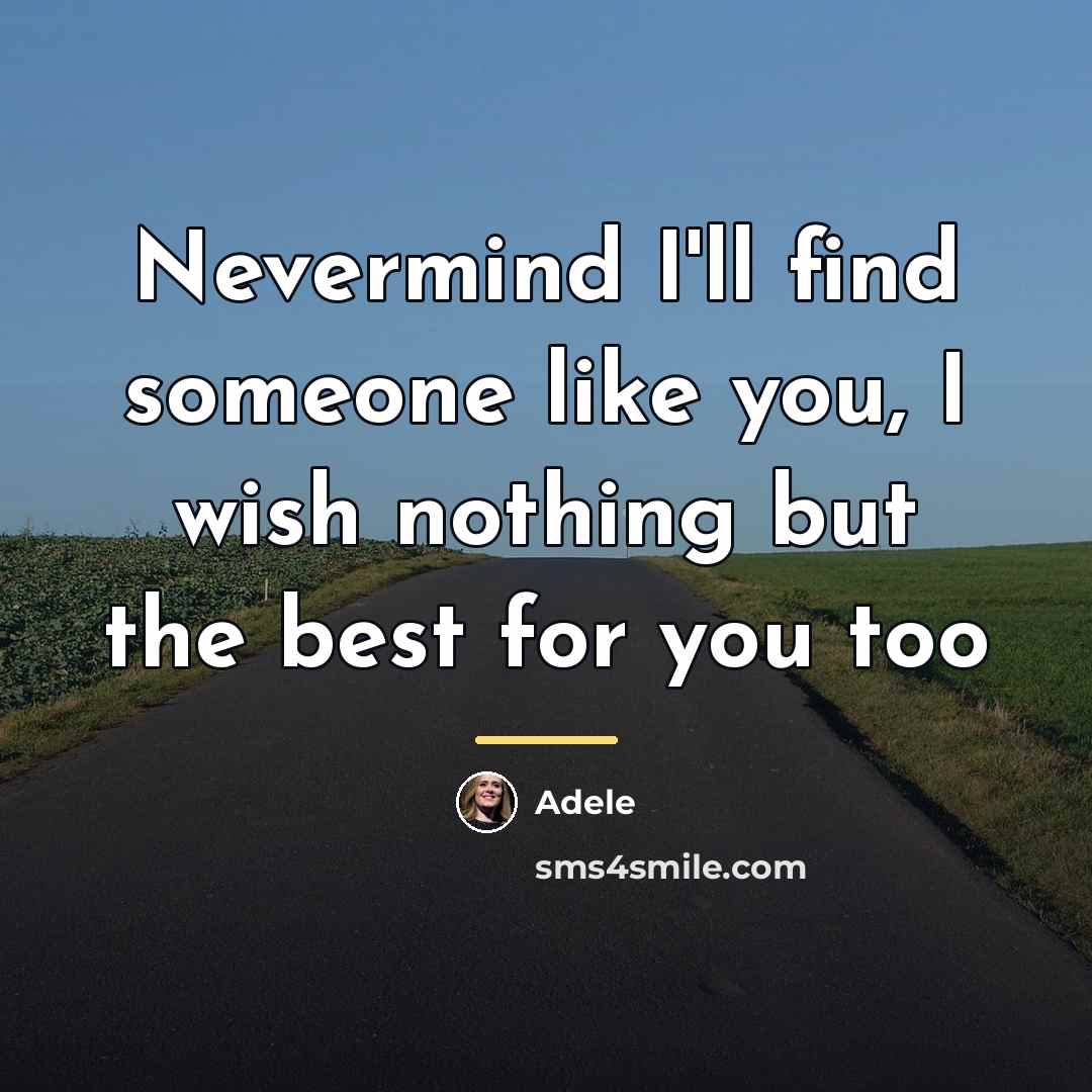 “Nevermind I'll find someone like you, I wish nothing but…” quote by Adele