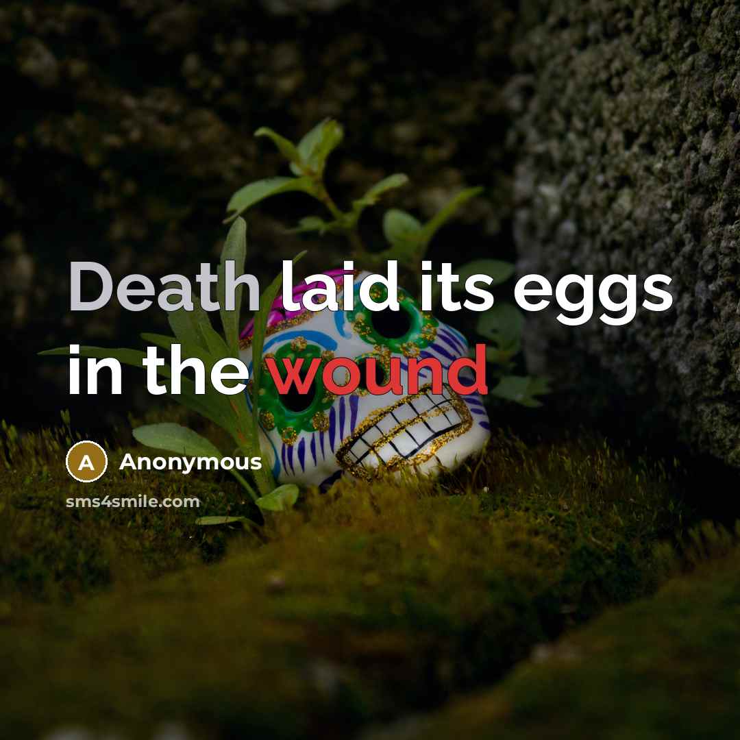 “Death laid its eggs in the wound…” quote by Anonymous