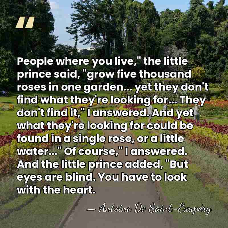 People where you live," the little prince said, "grow five thousand roses&hellip; - Antoine de Saint-Exupery