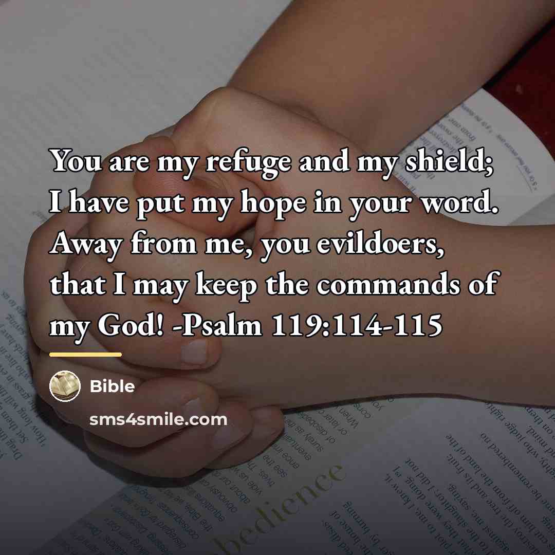 “You are my refuge and my shield; I have put…” quote by Bible