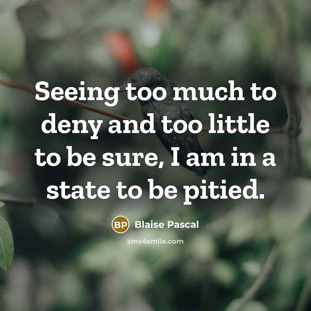 “Seeing too much to deny and too little to be…” quote by Blaise Pascal