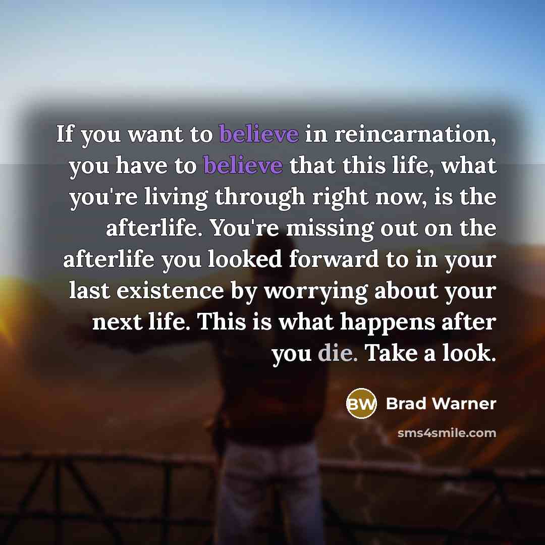 “If you want to believe in reincarnation, you have to…” quote by Brad Warner