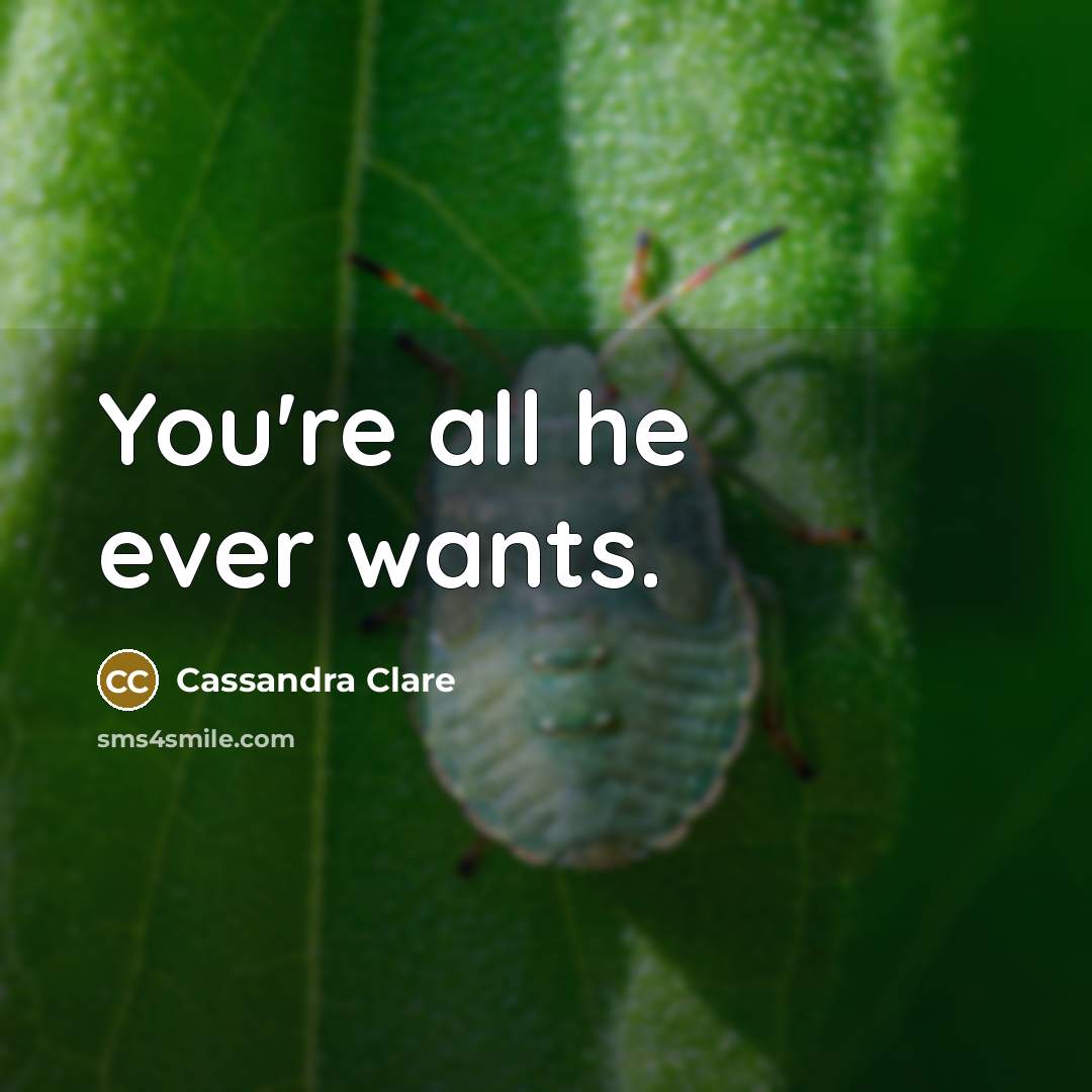 “You're all he ever wants.…” quote by Cassandra Clare