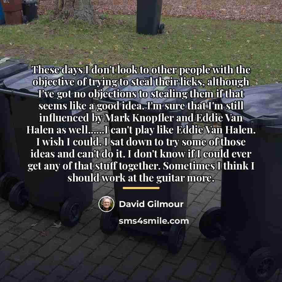 “These days I don't look to other people with the…” quote by David Gilmour