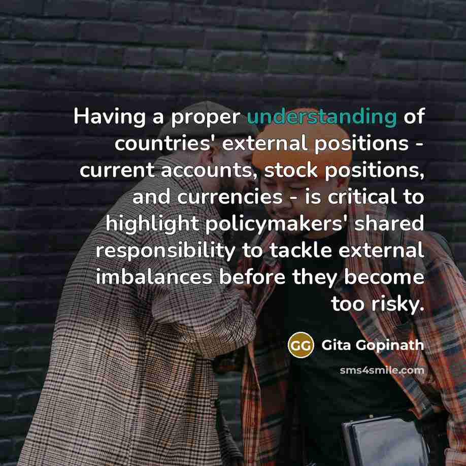 “Having a proper understanding of countries' external positions - current…” quote by Gita Gopinath