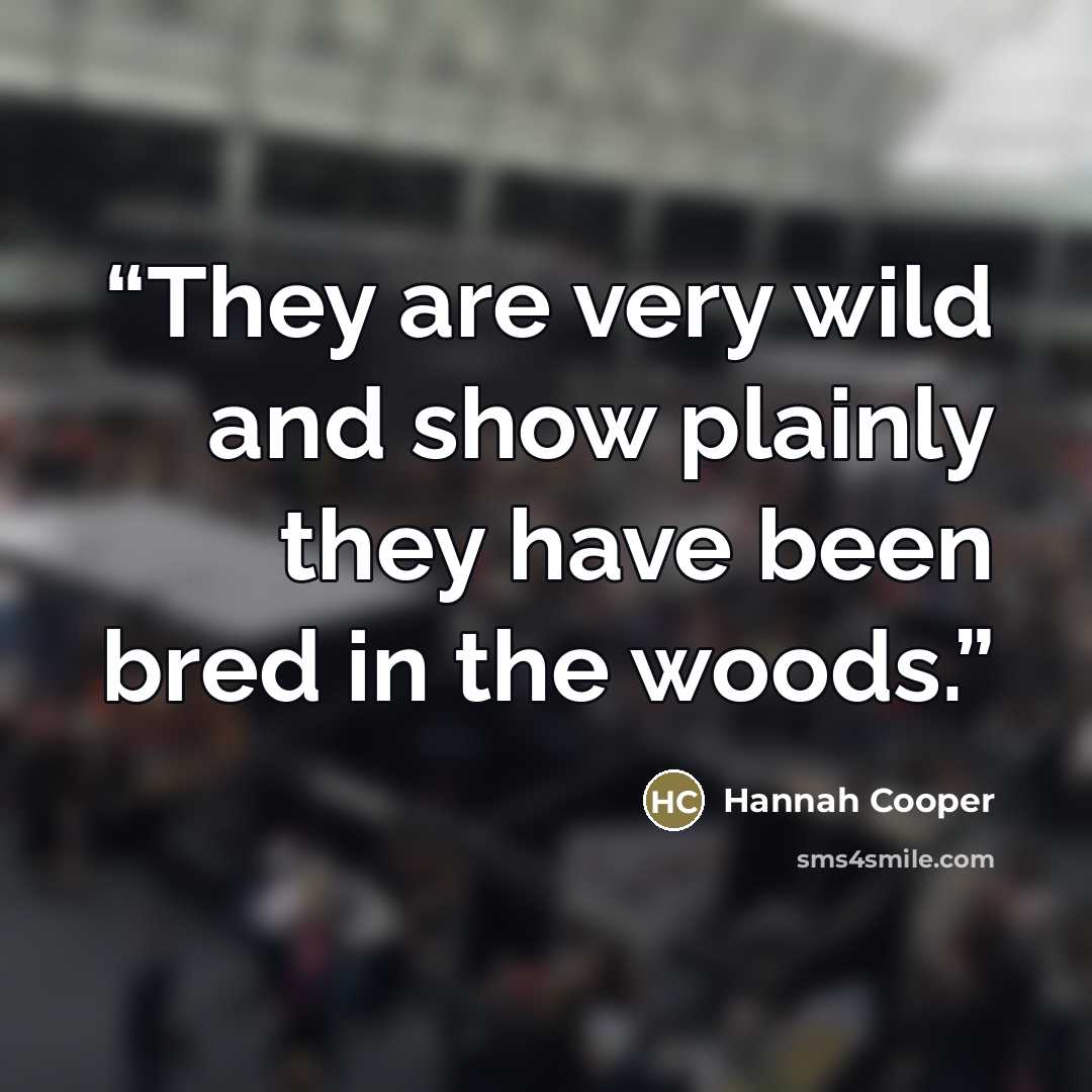 “They are very wild and show plainly they have been bred in the woods.” quote by Hannah Cooper