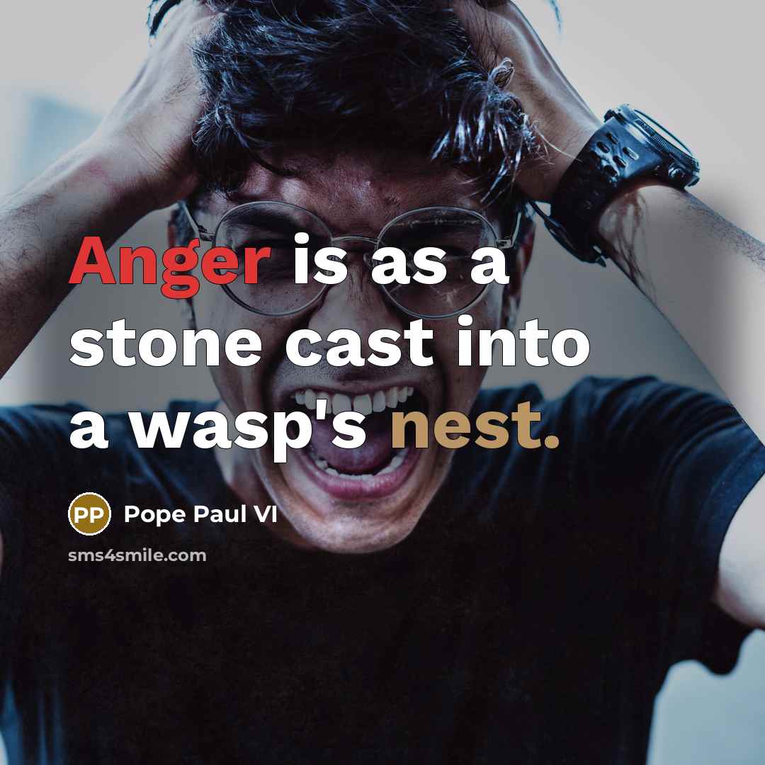 “Anger is as a stone cast into a wasp's nest.…” quote by Pope Paul VI