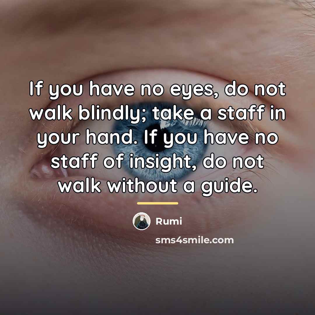 “If you have no eyes, do not walk blindly; take…” quote by Rumi