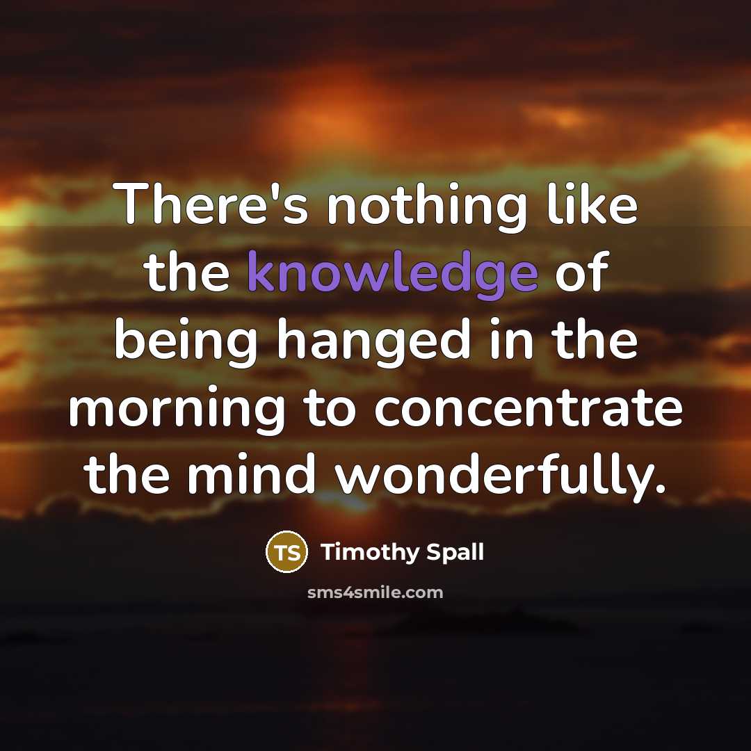 “There's nothing like the knowledge of being hanged in the…” quote by Timothy Spall
