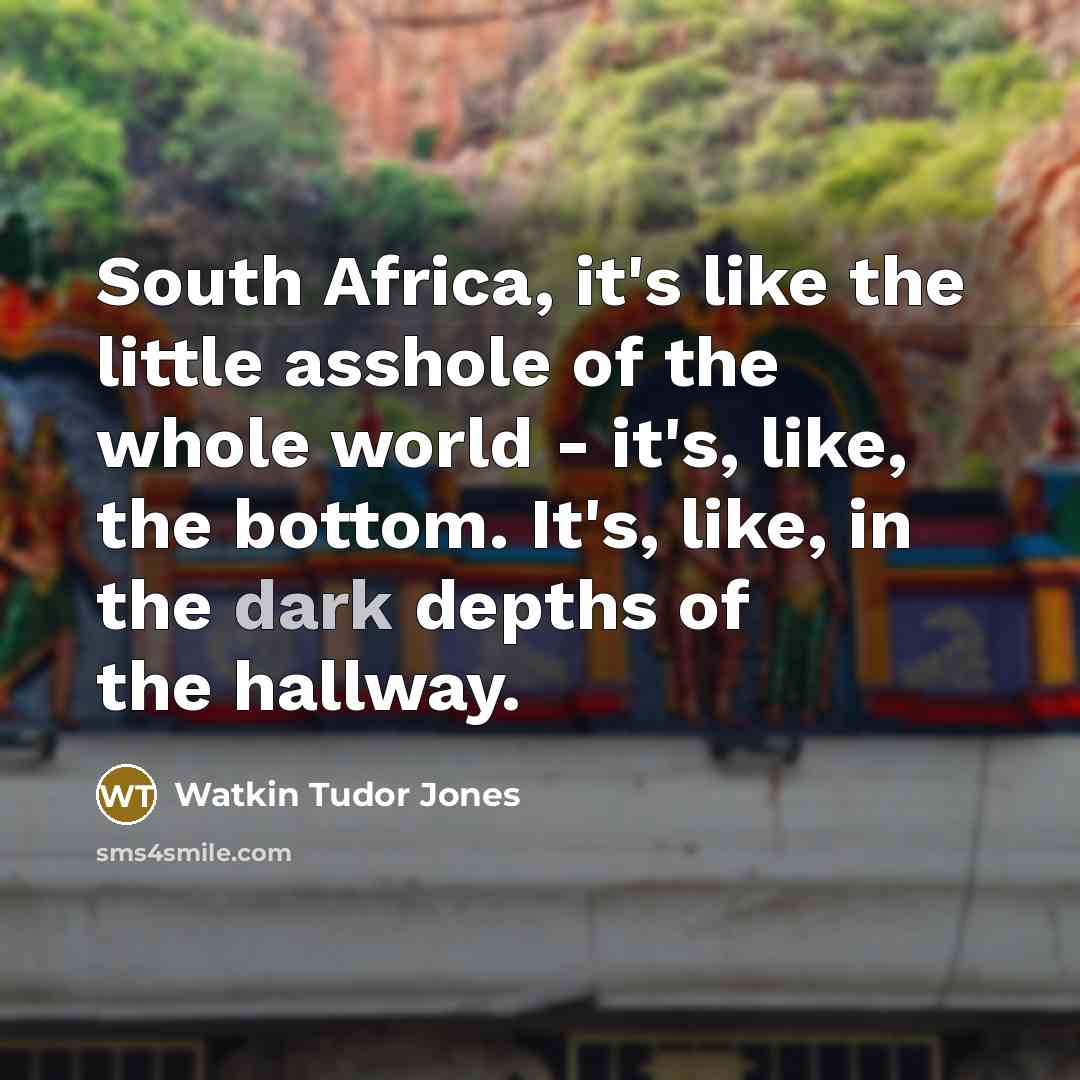 “South Africa, it's like the little asshole of the whole world - it's, like, the bottom. It's, like, in the dark depths of the hallway.” quote by Watkin Tudor Jones