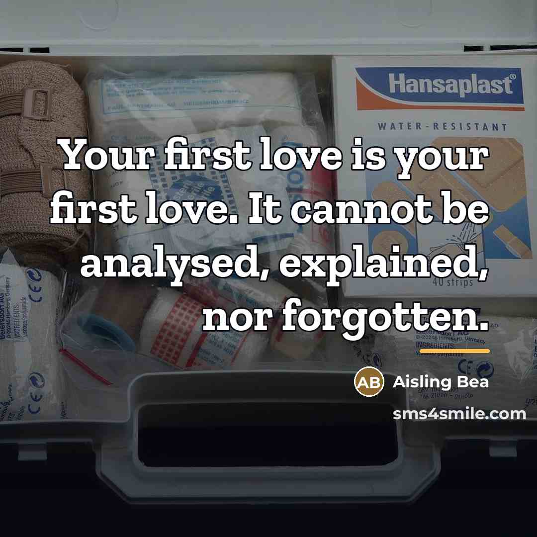 “Your first love is your first love. It cannot be…” quote by Aisling Bea