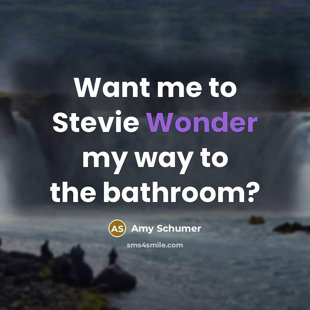 “Want me to Stevie Wonder my way to the bathroom?…” quote by Amy Schumer