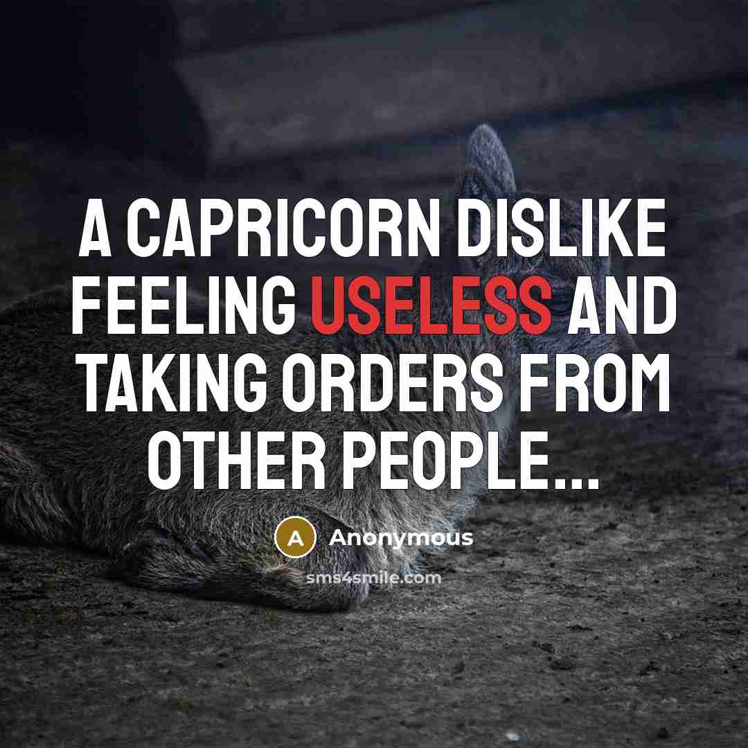“A Capricorn dislike feeling useless and taking orders from other people...” quote by Anonymous