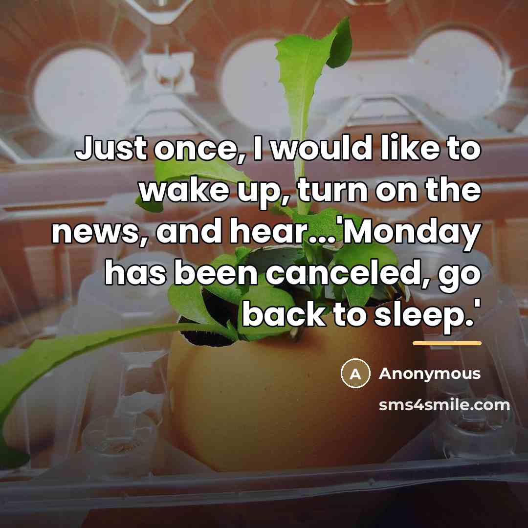 “Just once, I would like to wake up, turn on…” quote by Anonymous