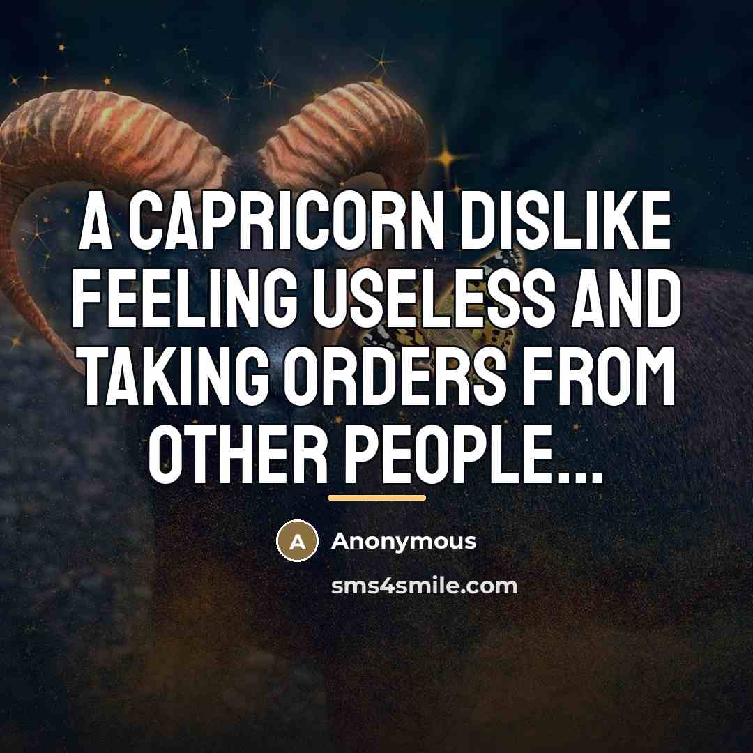 “A Capricorn dislike feeling useless and taking orders from other…” quote by Anonymous