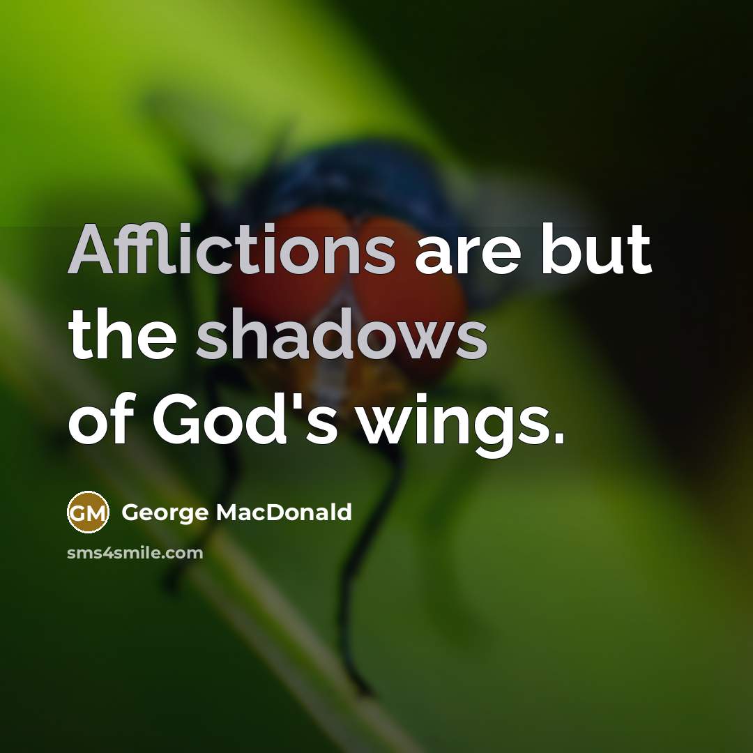 “Afflictions are but the shadows of God's wings.” quote by George MacDonald
