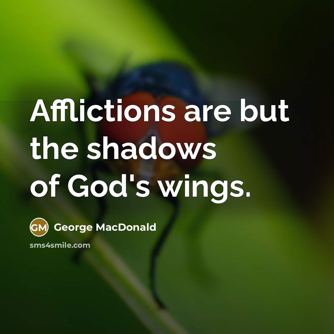 “Afflictions are but the shadows of God's wings.…” quote by George MacDonald